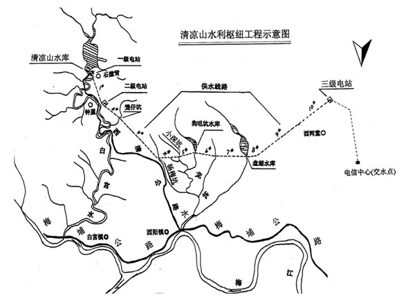 足球直播视频